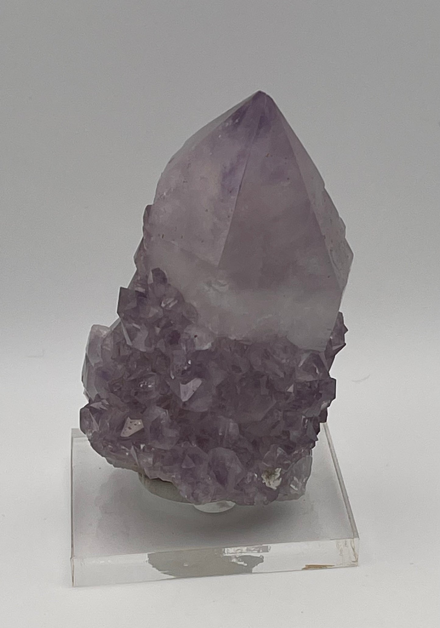 Large Cactus Quartz