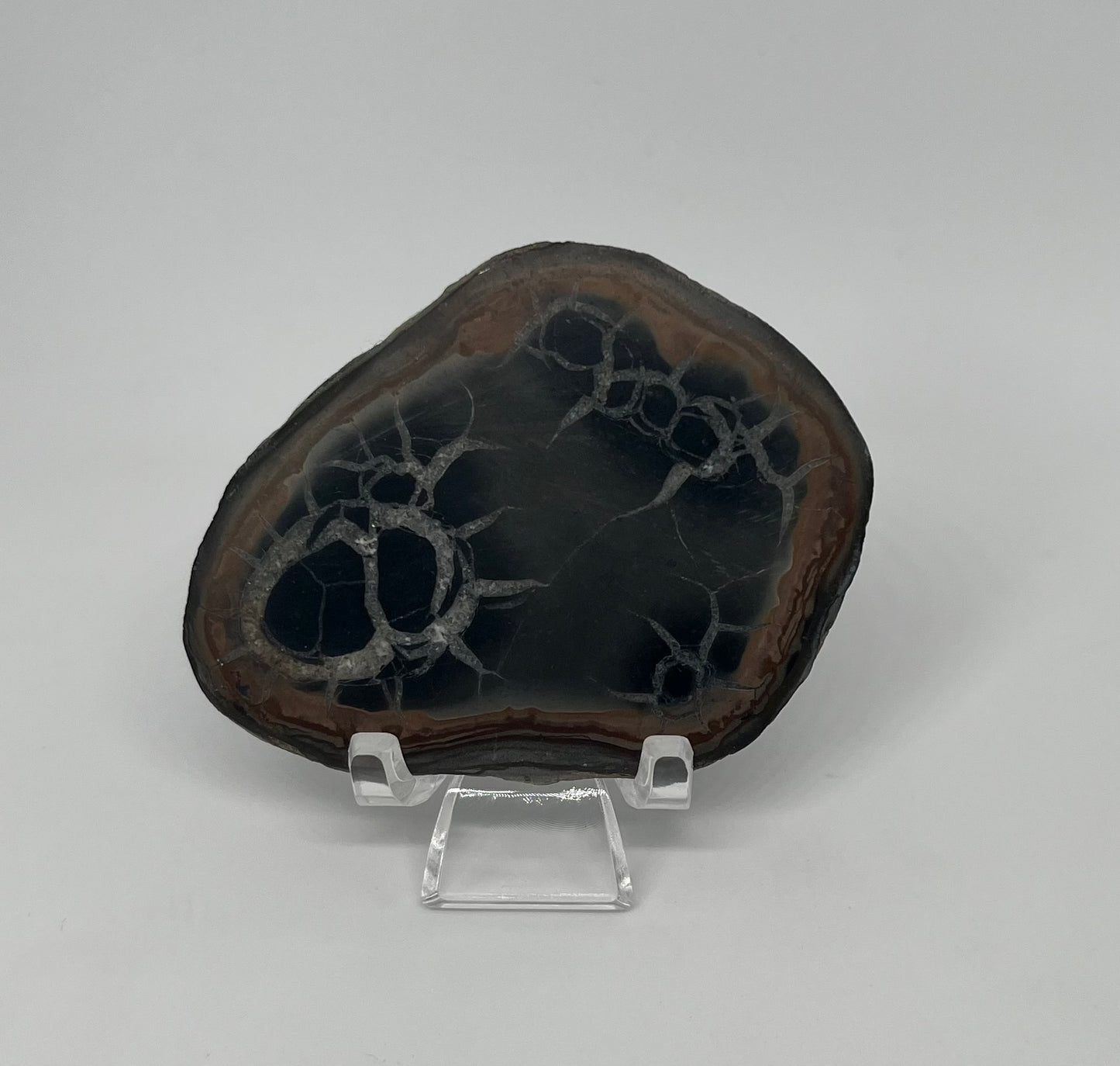 Septarian Geode