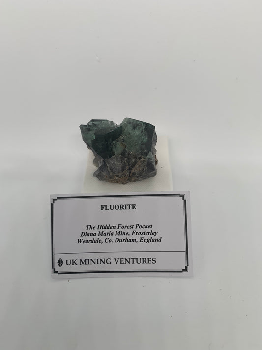 UK Fluorite Hidden Forest Pocket