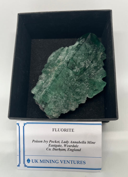 UK Fluorite Poison Ivy Pocket